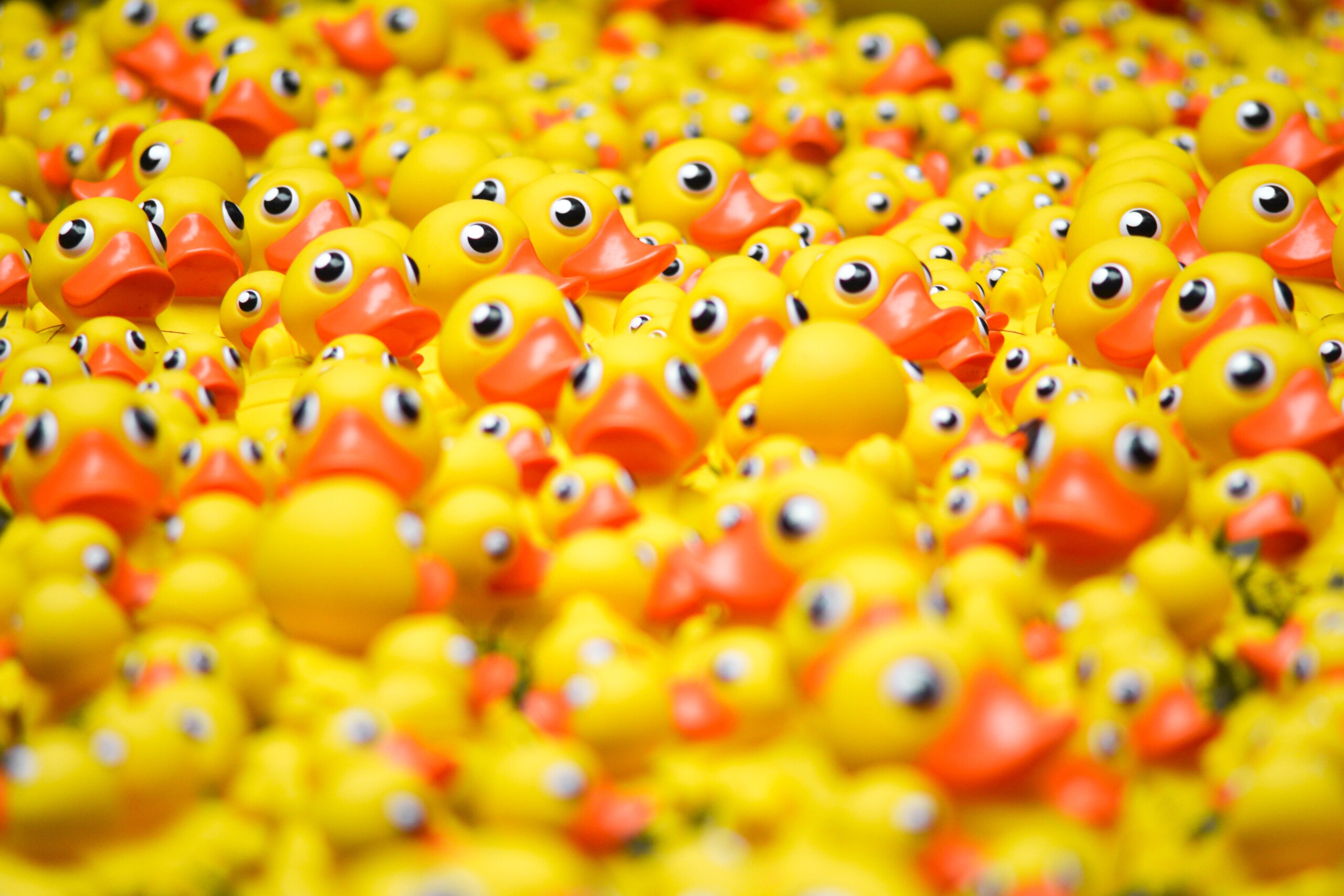 Andrew Wulf 59yg LpcvzQ Unsplash