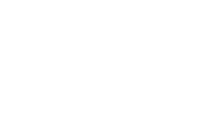 dieci