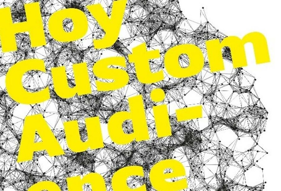 Hoy Custom Audience