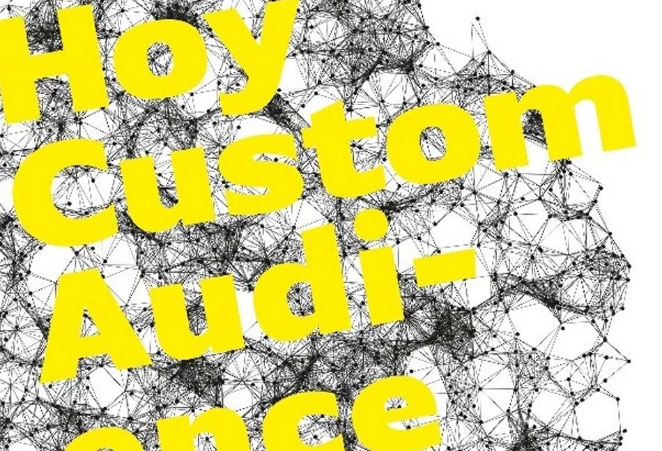 Hoy Custom Audience