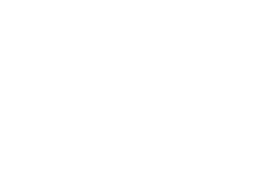 Kantonspolizei Zürich