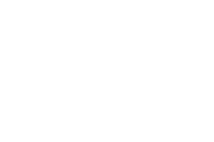 Die Mobiliar