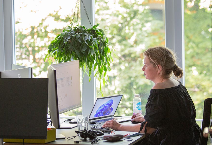 Media Consultant bei der Mediaschneider AG