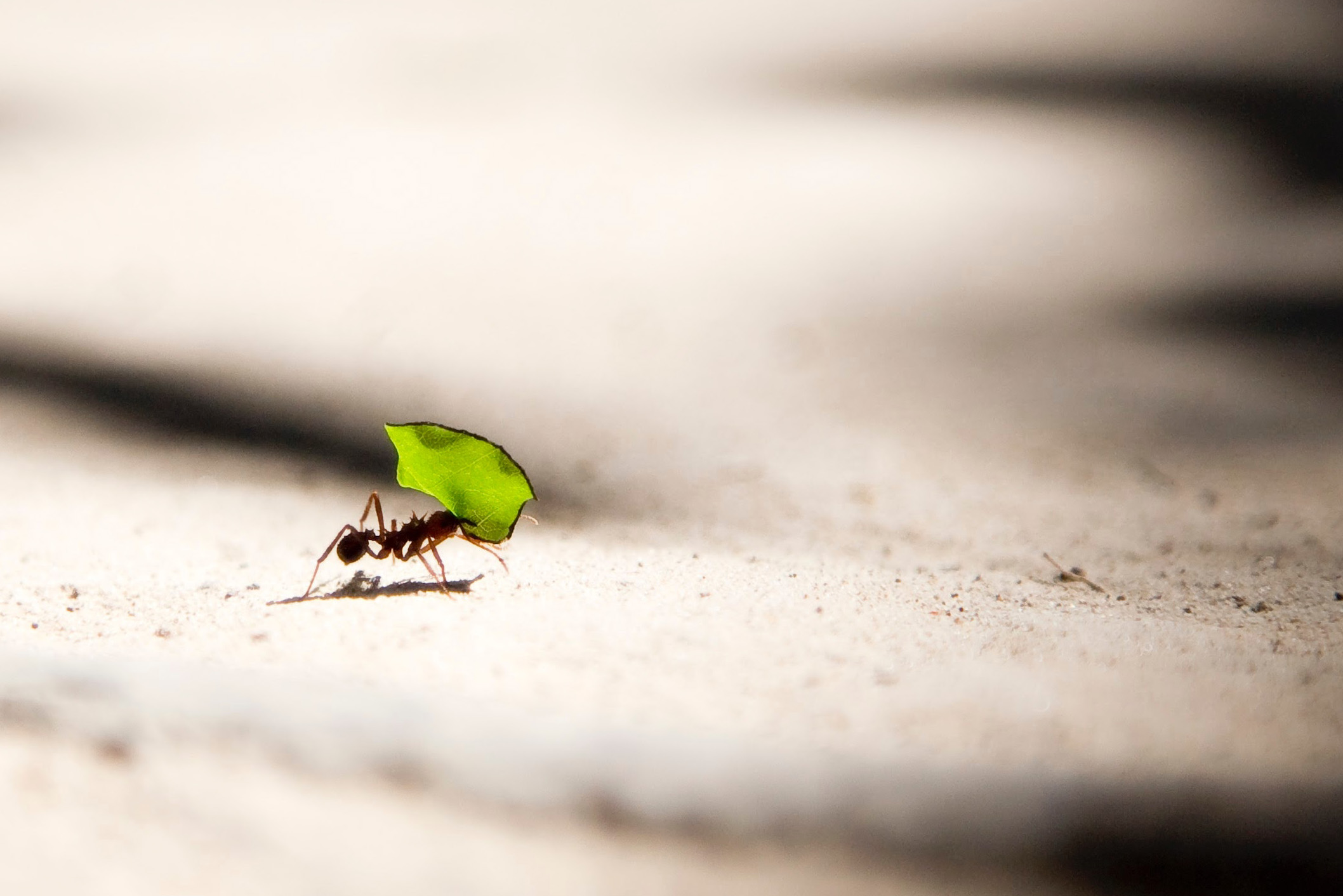 Vlad Tchompalov DQkXoqQLn40 Unsplash