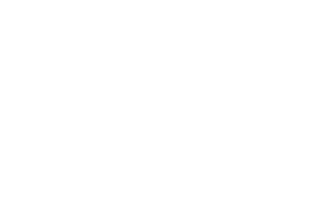 Wingo